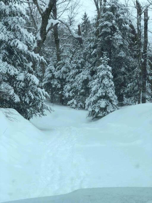 Chalet L'Erable Mont-Tremblant/Lac Superieur & Spa المظهر الخارجي الصورة